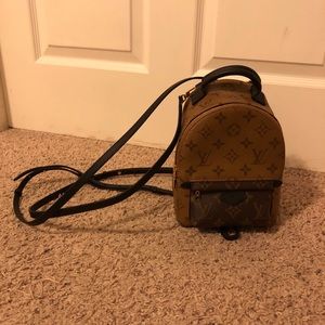 Louis Vuitton Palm Springs Mini